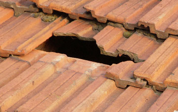 roof repair Penrhos